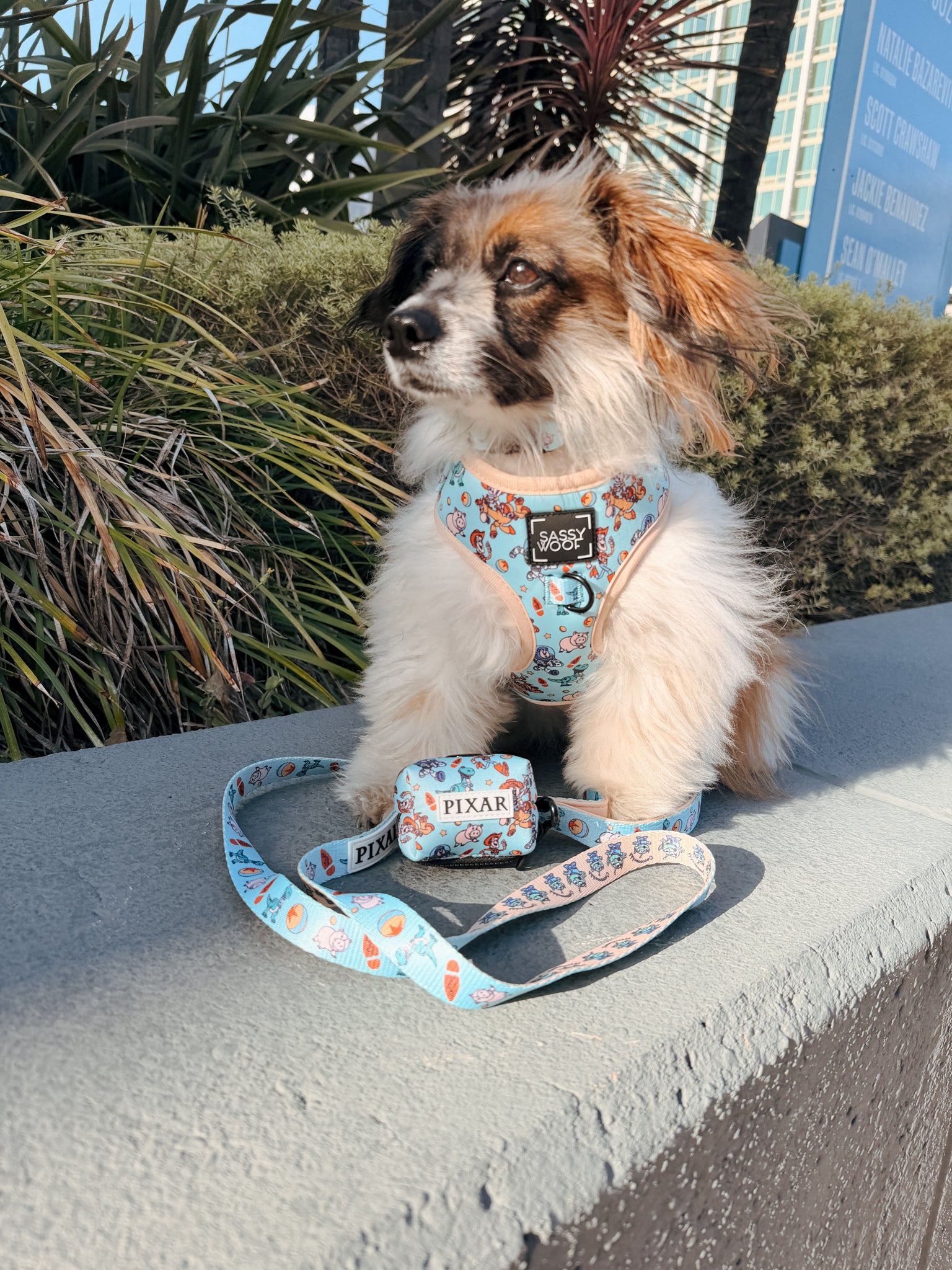 INFLUENCER_CONTENT | @RESCUINGRUTHIE | SIZE XS