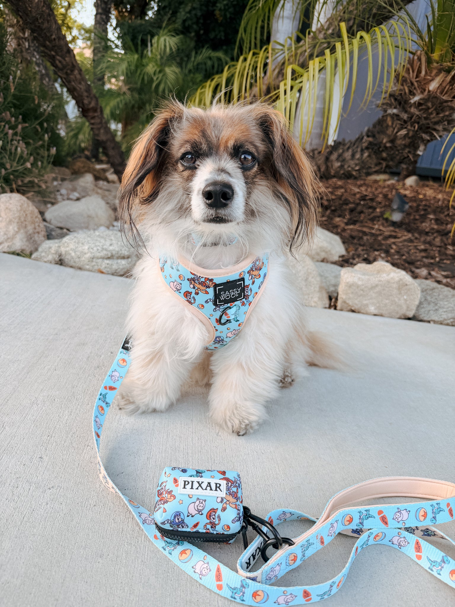 INFLUENCER_CONTENT | @RESCUINGRUTHIE | SIZE XS