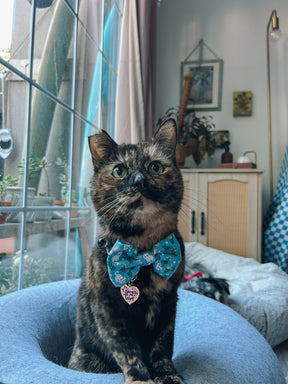 INFLUENCER_CONTENT | @SCREAMY_BEANY | SIZE M