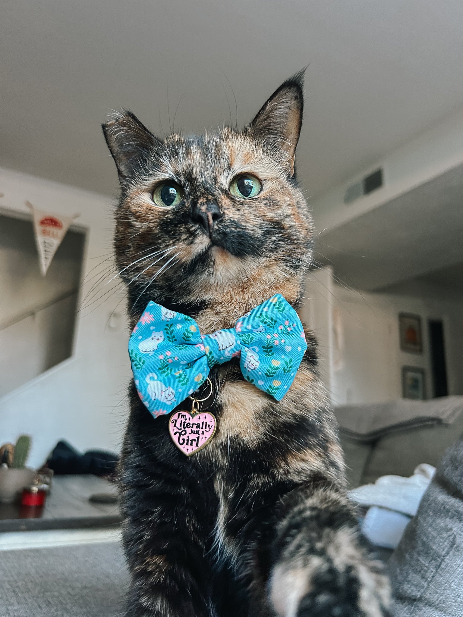 INFLUENCER_CONTENT | @SCREAMY_BEANY | SIZE M