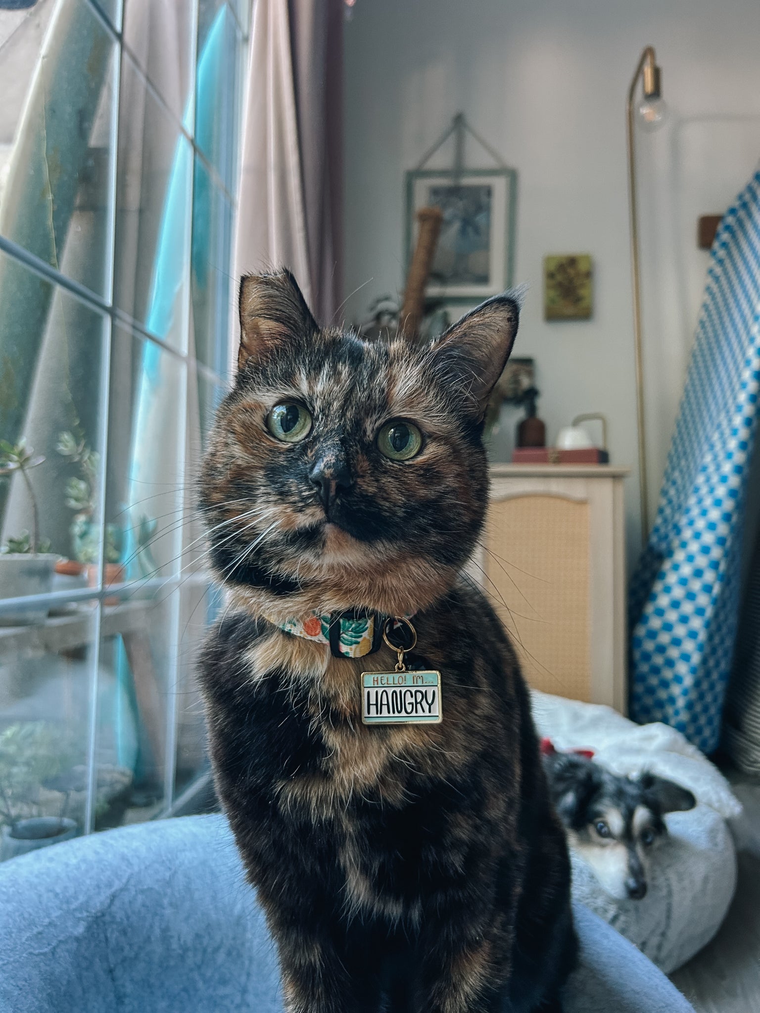 INFLUENCER_CONTENT | @SCREAMY_BEANY | SIZE M