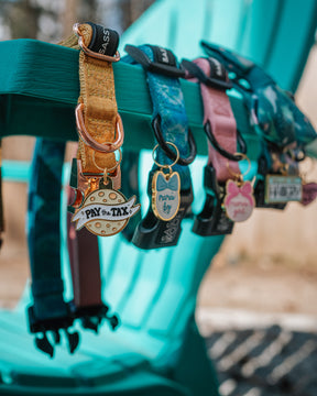 INFLUENCER_CONTENT | @THE.HERO.DOGS