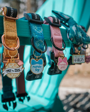 INFLUENCER_CONTENT | @THE.HERO.DOGS