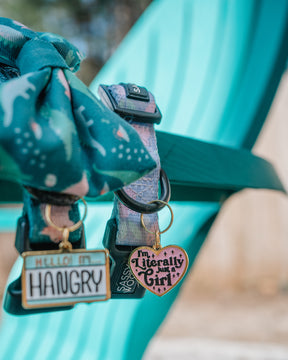 INFLUENCER_CONTENT | @THE.HERO.DOGS