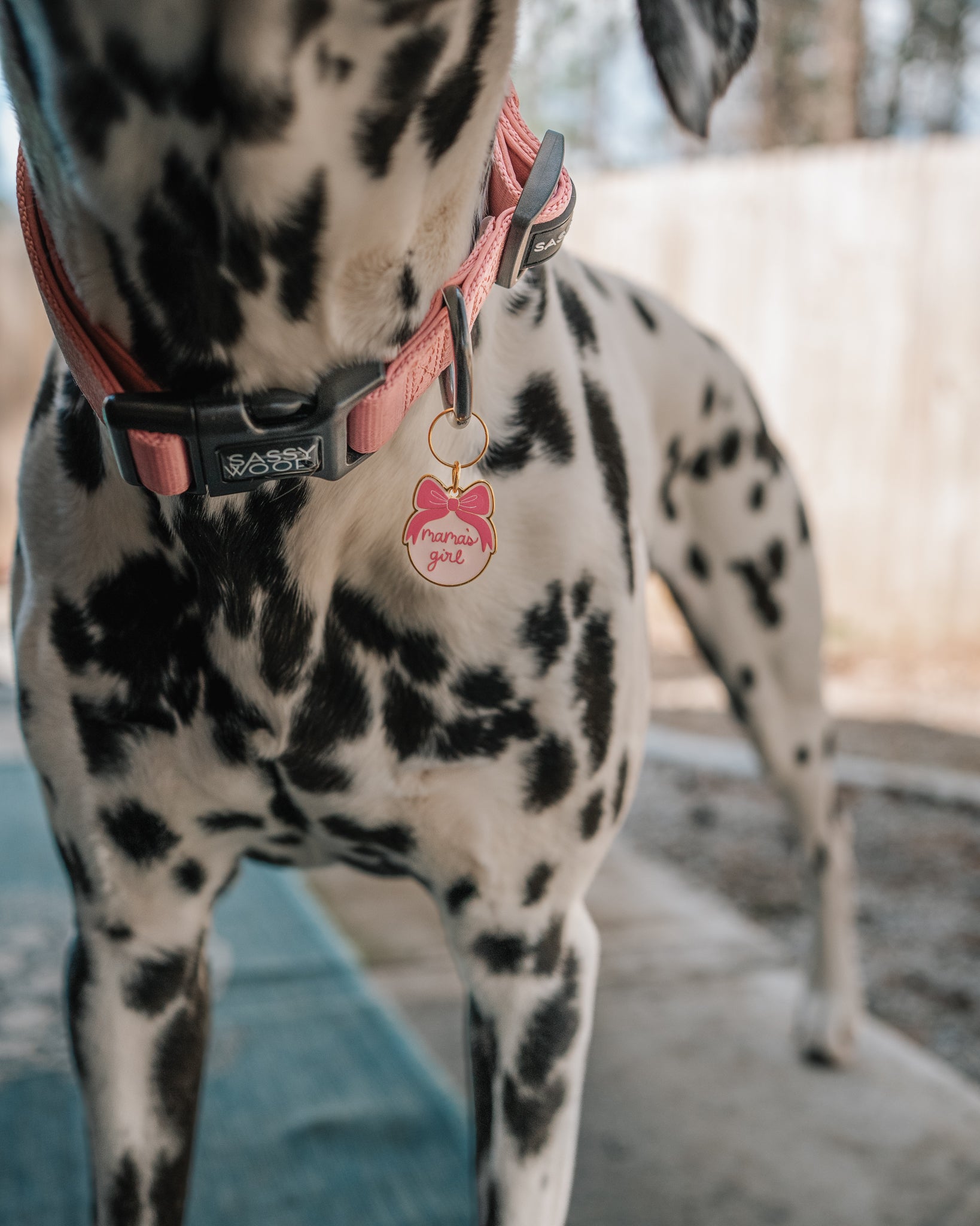 INFLUENCER_CONTENT | @THE.HERO.DOGS | SIZE L