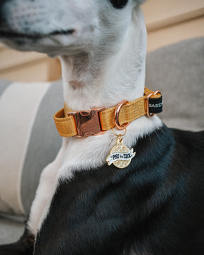 INFLUENCER_CONTENT | @THE.HERO.DOGS | SIZE M