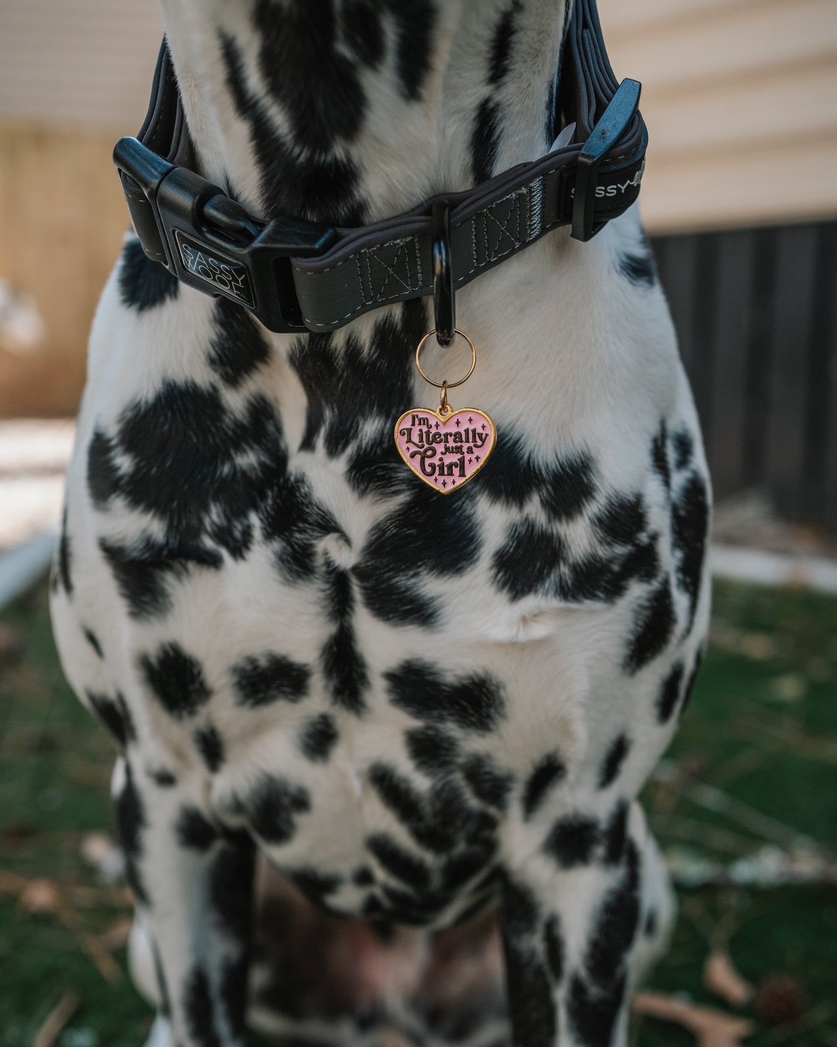 INFLUENCER_CONTENT | @THE.HERO.DOGS | SIZE L