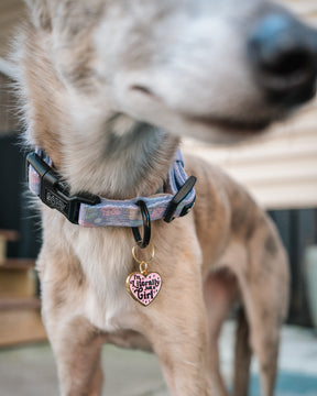 INFLUENCER_CONTENT | @THE.HERO.DOGS | SIZE M