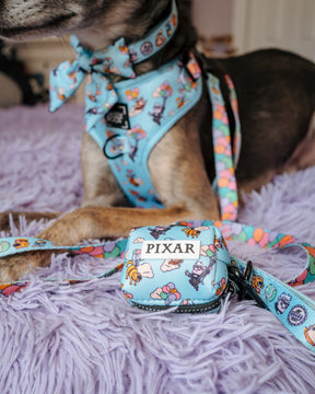 INFLUENCER_CONTENT | @THE.HERO.DOGS | SIZE M & L