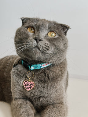 INFLUENCER_CONTENT | @WAWA_WILLOW_SCOTTISHFOLD | SIZE M