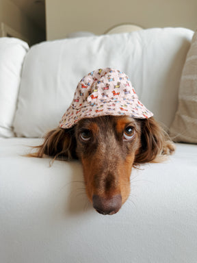 INFLUENCER_CONTENT | @WINSTONTHEWEENIEMAN | BUCKET HAT SIZE: S