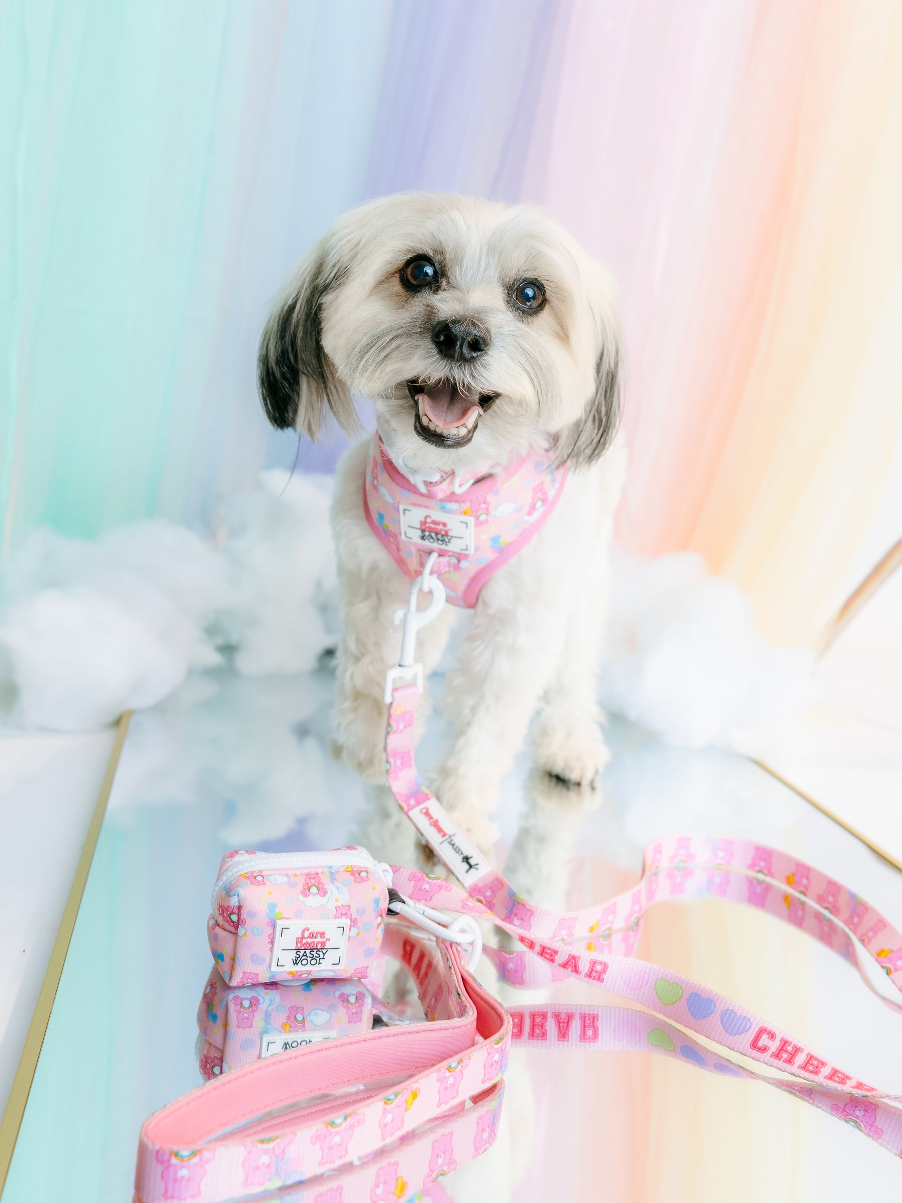 A small, fluffy dog stands on a mirrored surface, happily wearing the Sassy Woof Dog Two Piece Bundle - Care Bears™ Cheer Bear amid soft clouds and a pastel rainbow background, with its mouth open and tongue out.