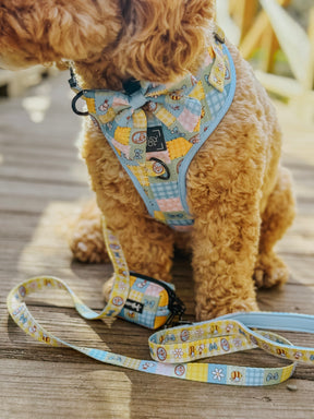 INFLUENCER_CONTENT | @ISABELLASDOODLEDIARIES| SIZE M