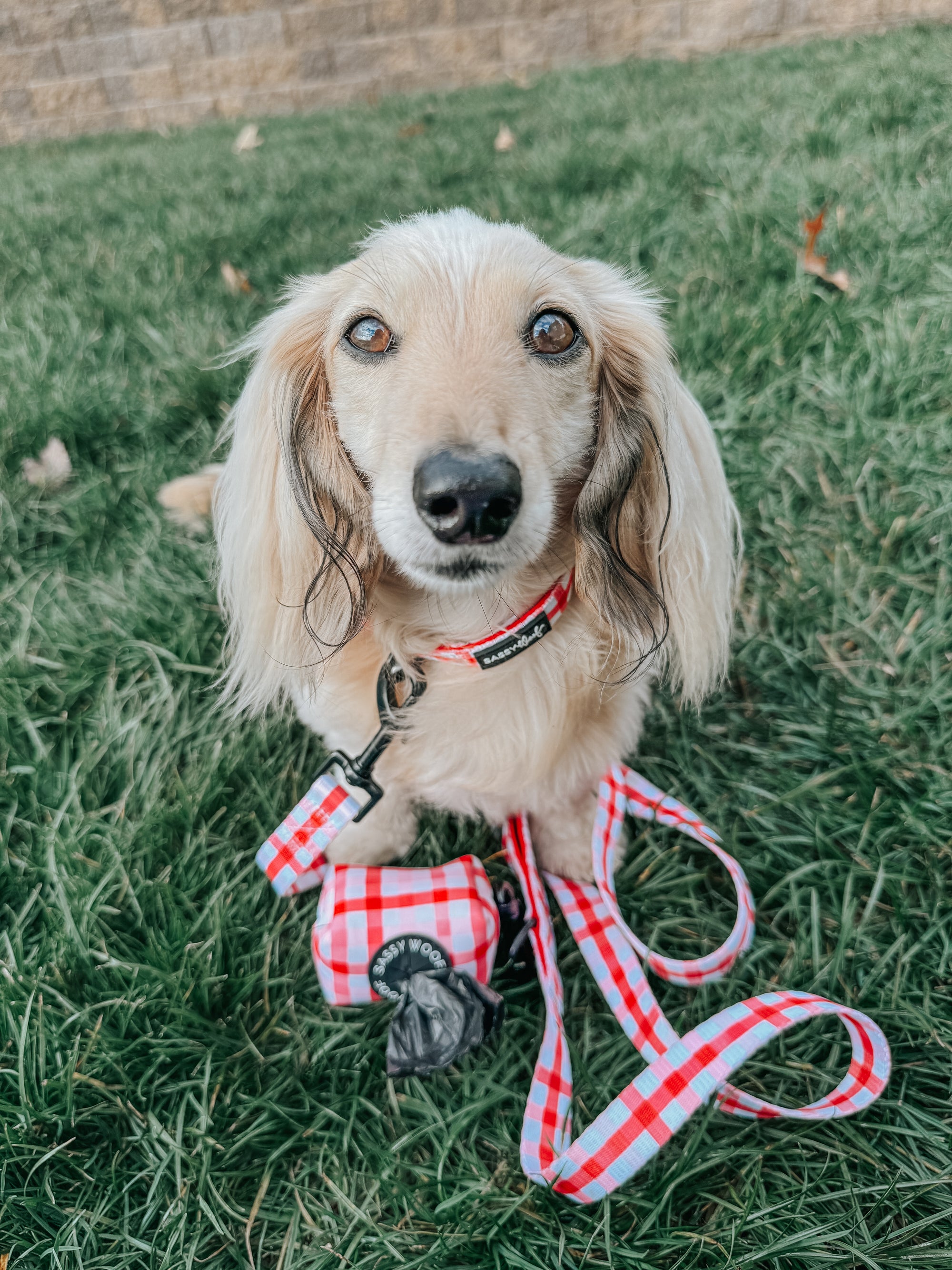 INFLUENCER_CONTENT | @ITSLUCYTHEDOXIE | SIZE S
