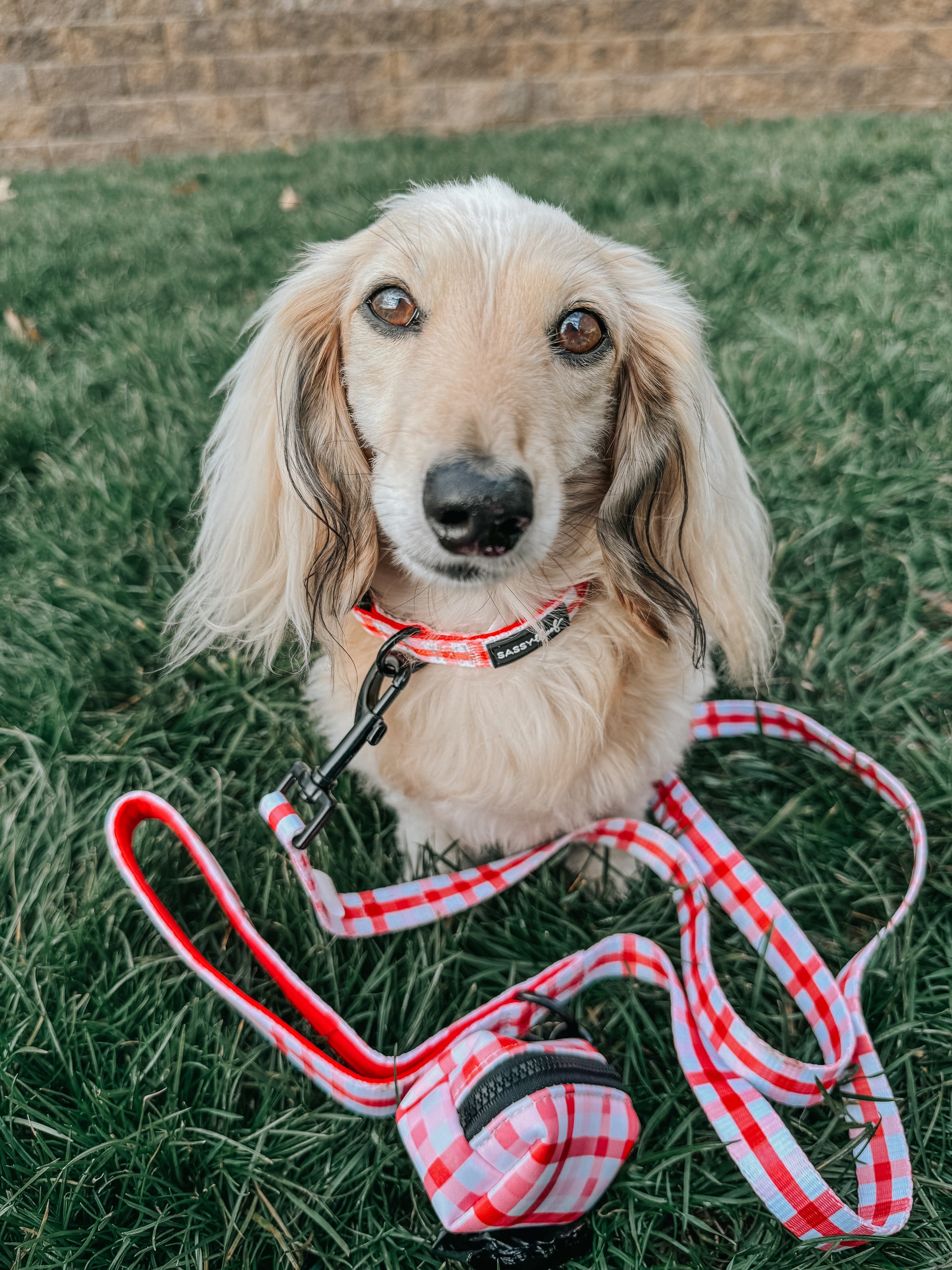 INFLUENCER_CONTENT | @ITSLUCYTHEDOXIE