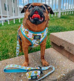 INFLUENCER_CONTENT | @ITSTULIPTHEGRIFF