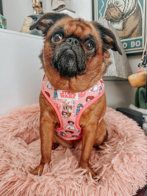 INFLUENCER_CONTENT | @ITSTULIPTHEGRIFF | SIZE XS