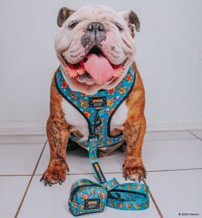 INFLUENCER_CONTENT | @ITSZEUSTHEBULLDOG