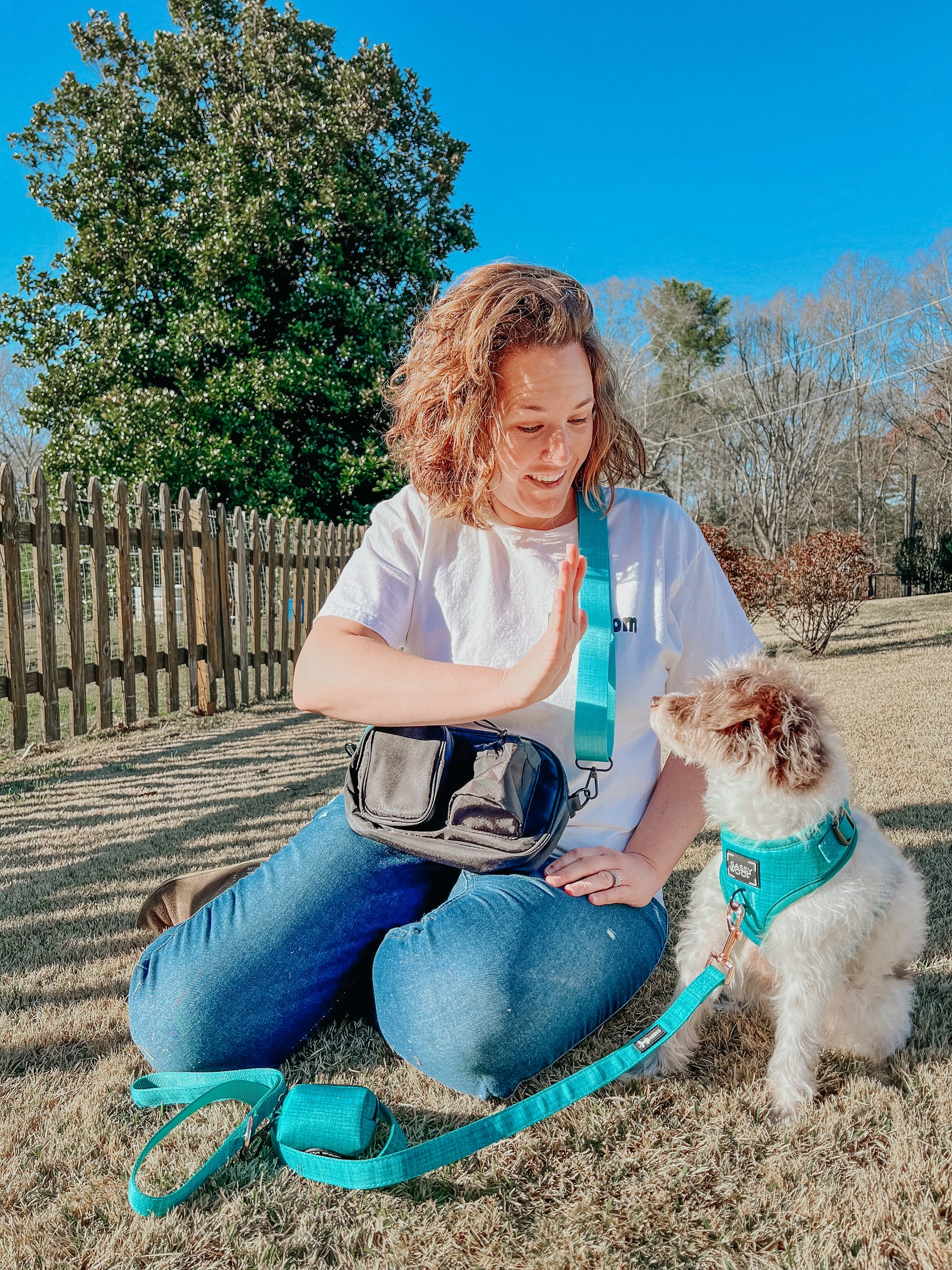 A woman sitting on grass gives a high-five to a small, white and brown dog wearing a teal harness and leash. They are outdoors on a sunny day with a wooden fence and trees in the background.
