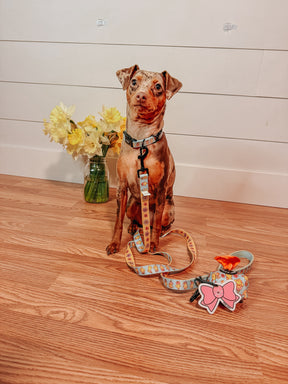 INFLUENCER_CONTENT | @JADE_THE_MINPIN