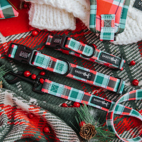Dog Three Piece Bundle - Jingle Barks