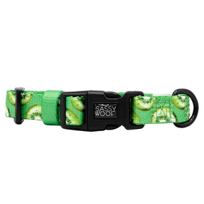 Dog Collar - Kiwi Krazy