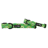 Dog Collar - Kiwi Krazy