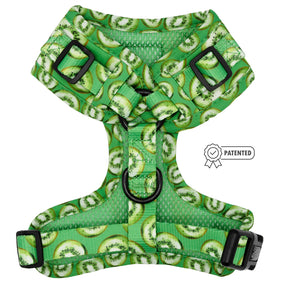 Dog Adjustable Harness - Kiwi Krazy