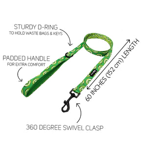 Dog Leash  - Kiwi Krazy