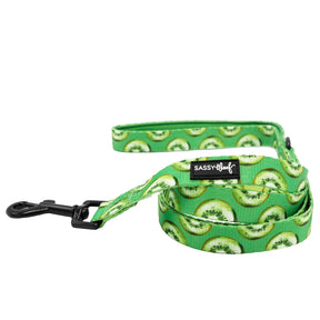 Dog Leash  - Kiwi Krazy