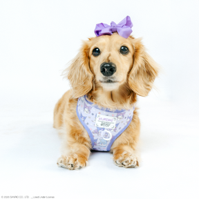 INFLUENCER_CONTENT | @MAYATHEDOX | SIZE XS