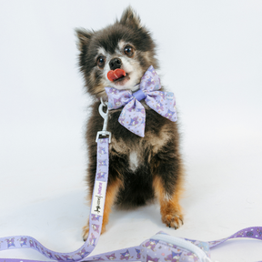 INFLUENCER_CONTENT | @PEANUTPARTI | SIZE S