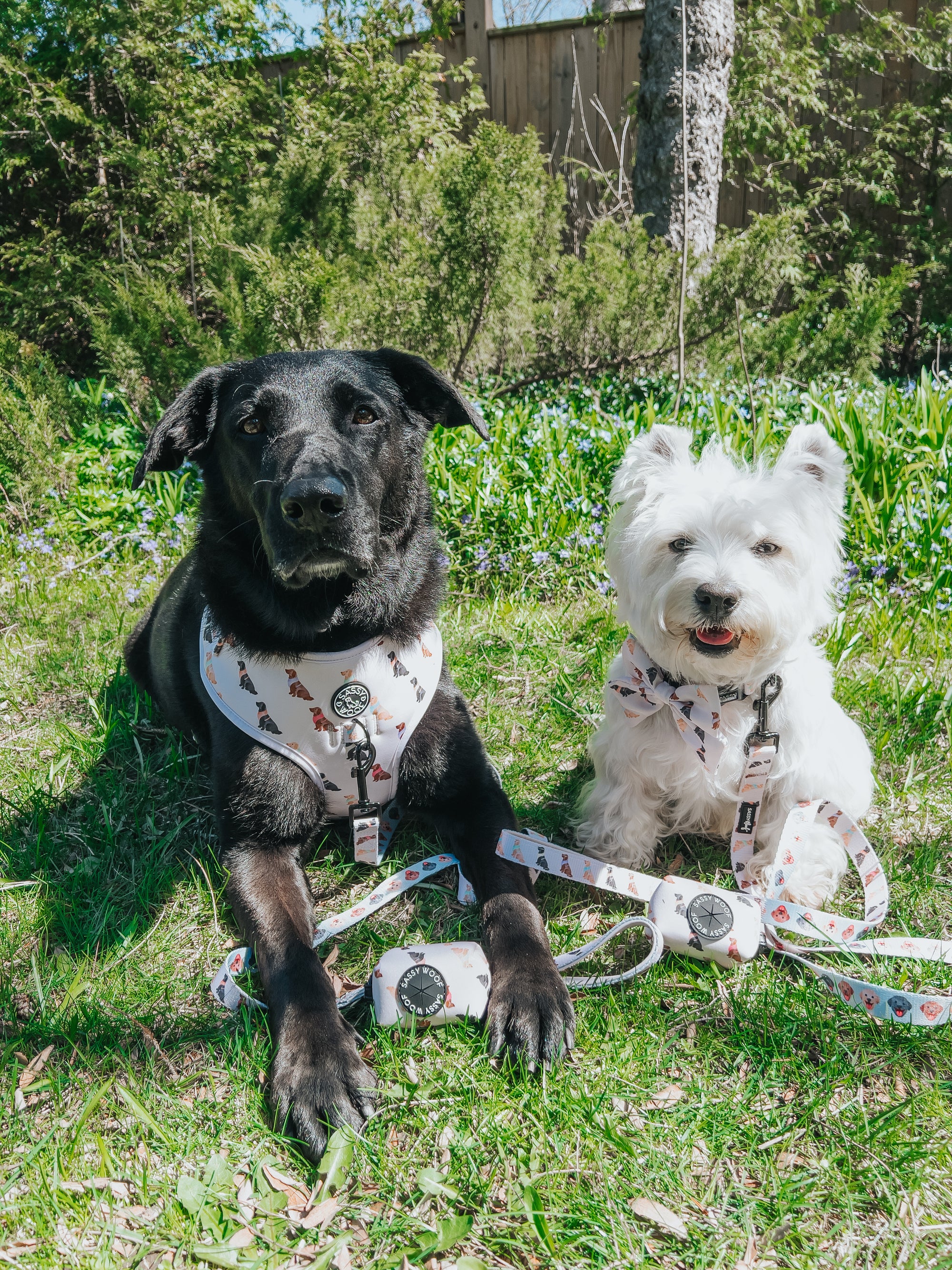 INFLUENCER_CONTENT | @LACEY.THE.WESTIE | SIZE M & XXL,S