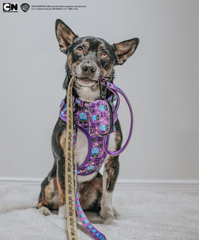 INFLUENCER_CONTENT | @LASZLOTHEMUTT | SIZE M & M