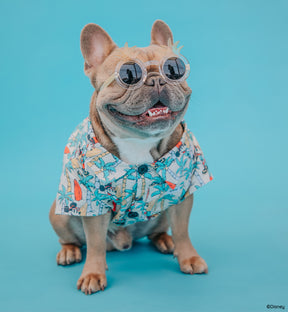 INFLUENCER_CONTENT | @LEOTHEFRENCHIE | SIZE L