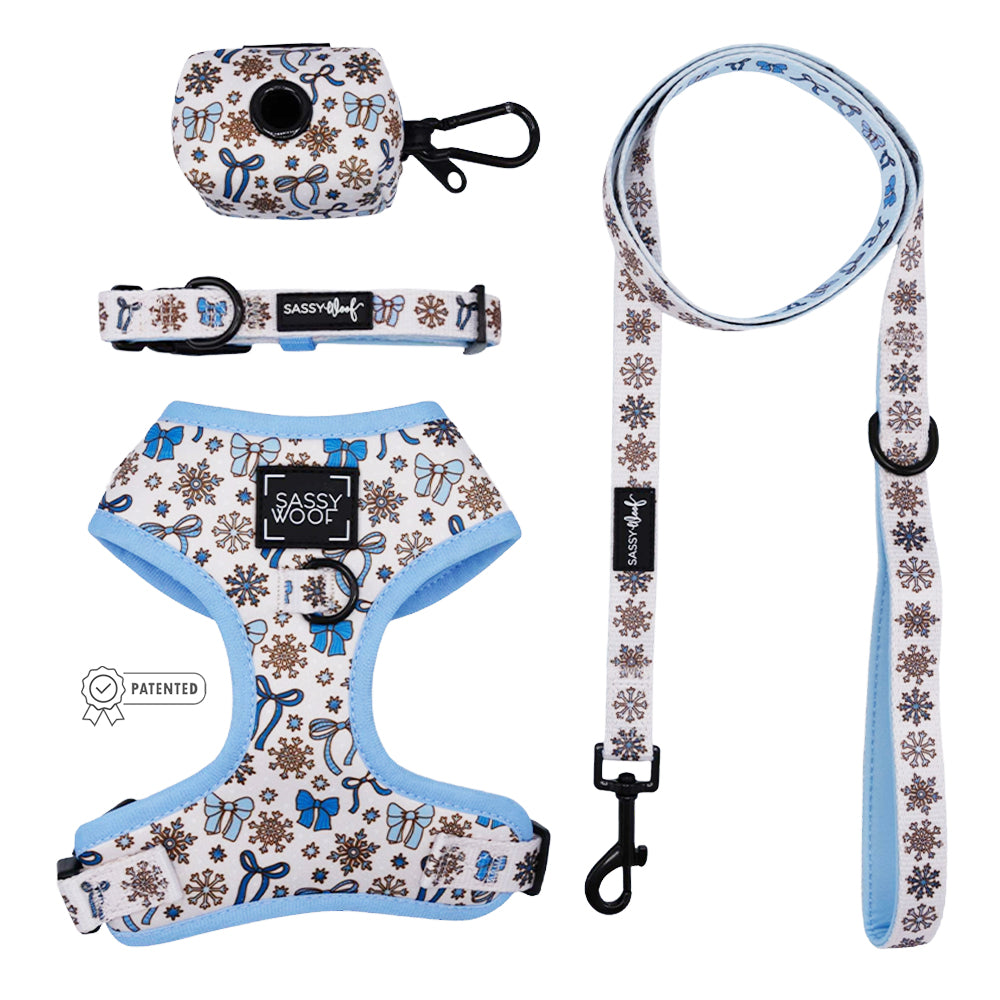 Dog Four Piece Bundle - Let it Bow