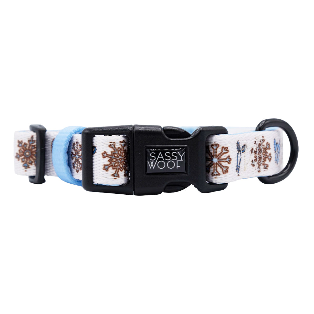 Dog Collar - Let it Bow
