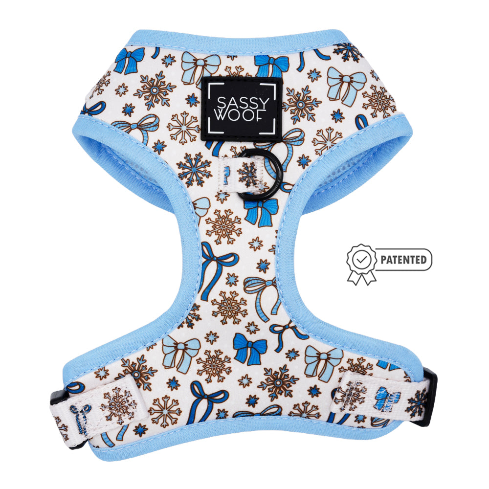 Dog Two Piece Bundle - Let it Bow