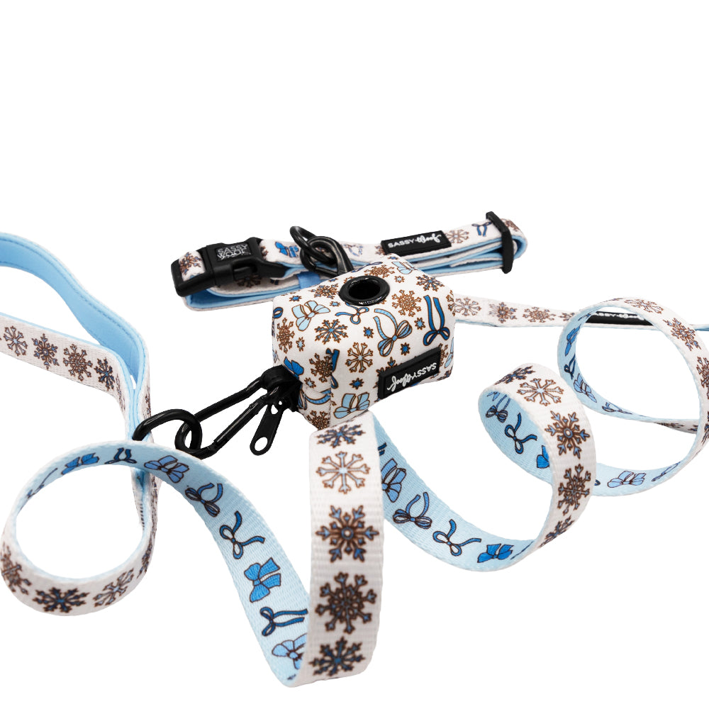 Dog Three Piece Bundle - Let it Bow