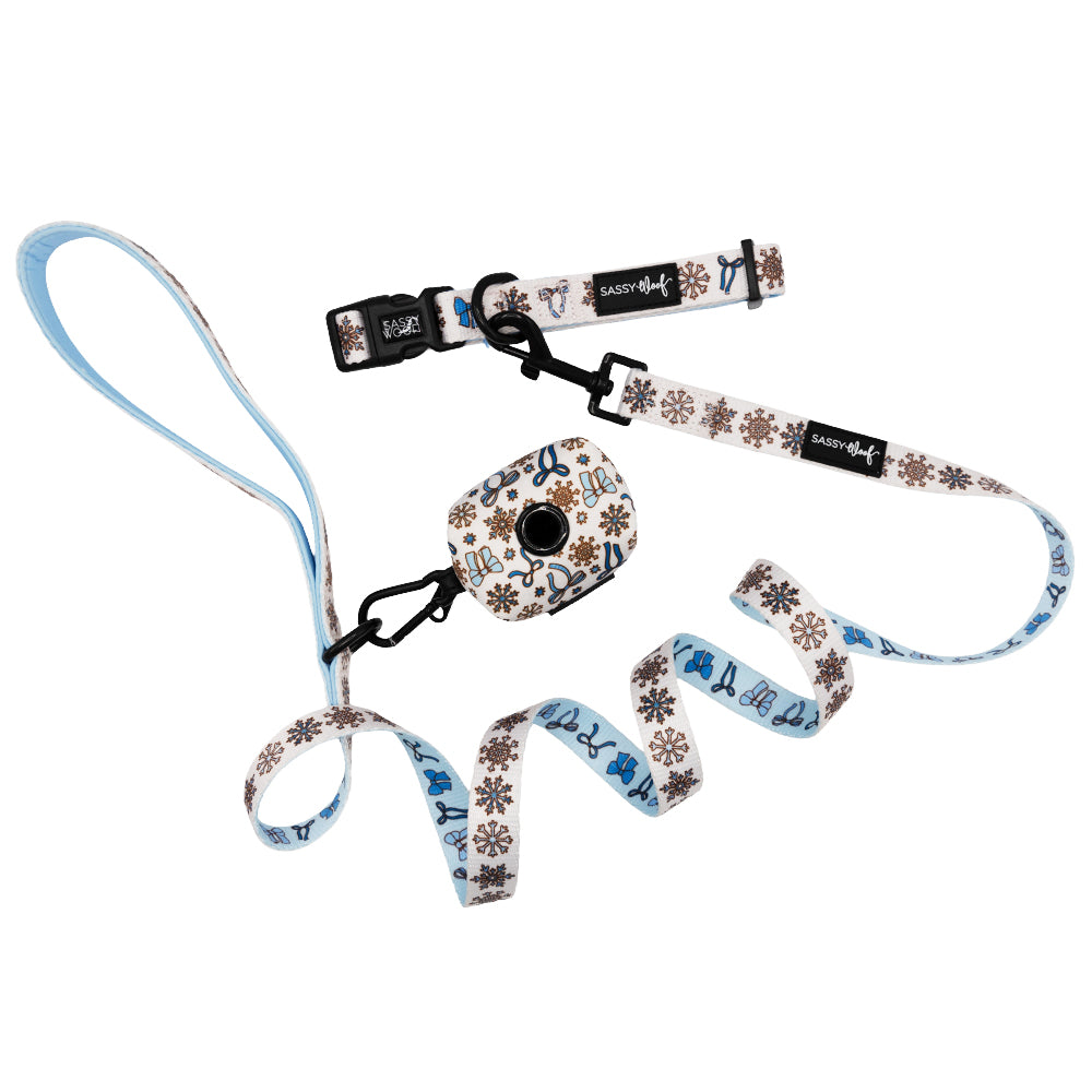 Dog Three Piece Bundle - Let it Bow
