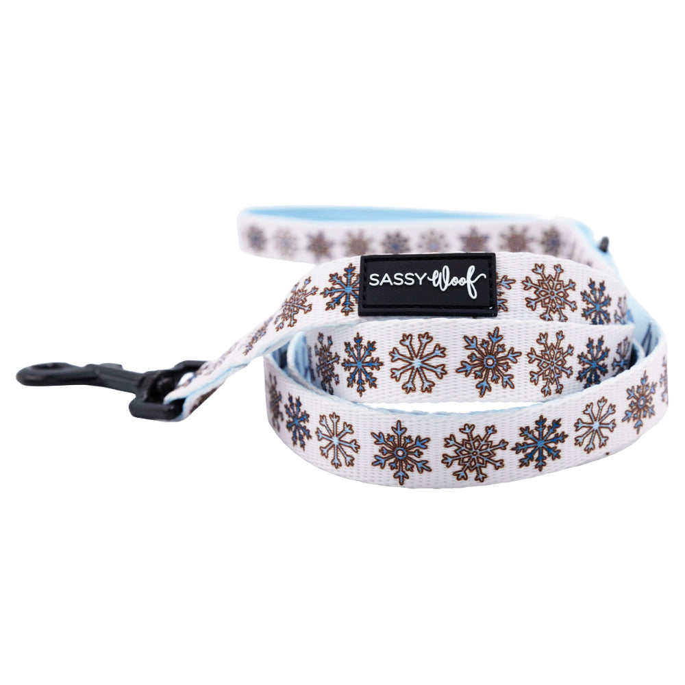 Dog Leash - Let it Bow