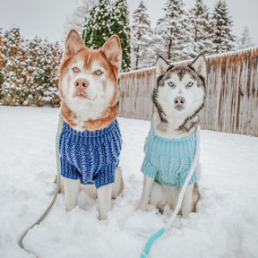 INFLUENCER_CONTENT | @LILLY_CLOVER_HUSKY | SIZE XL