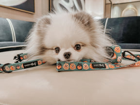 INFLUENCER_CONTENT | @LUNATHEPOMBABY