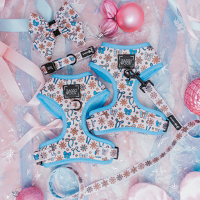 Dog Four Piece Bundle - Let it Bow