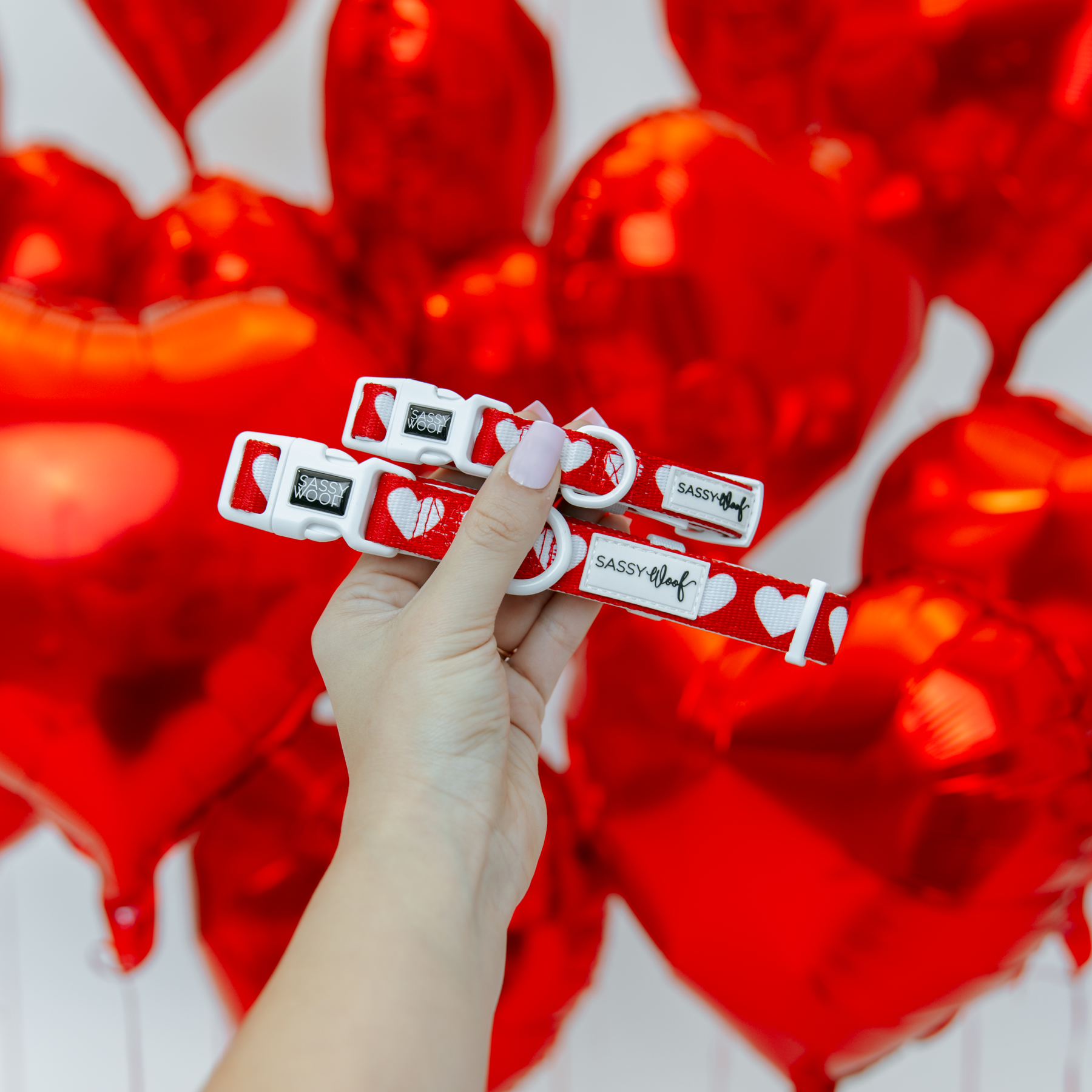 Hand holding a set of red dog collars with white hearts against a background of red balloons.