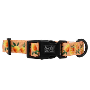 Dog Four Piece Bundle - Mango Tango