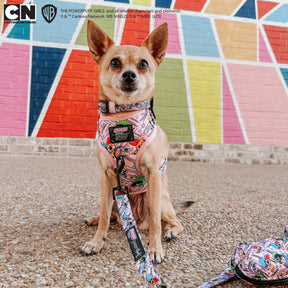 INFLUENCER_CONTENT | @MARILYNCHIHUAHUA | SIZE XS