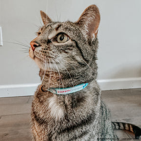 INFLUENCER_CONTENT | @MILATHEAUSSIEDOG | SIZE S