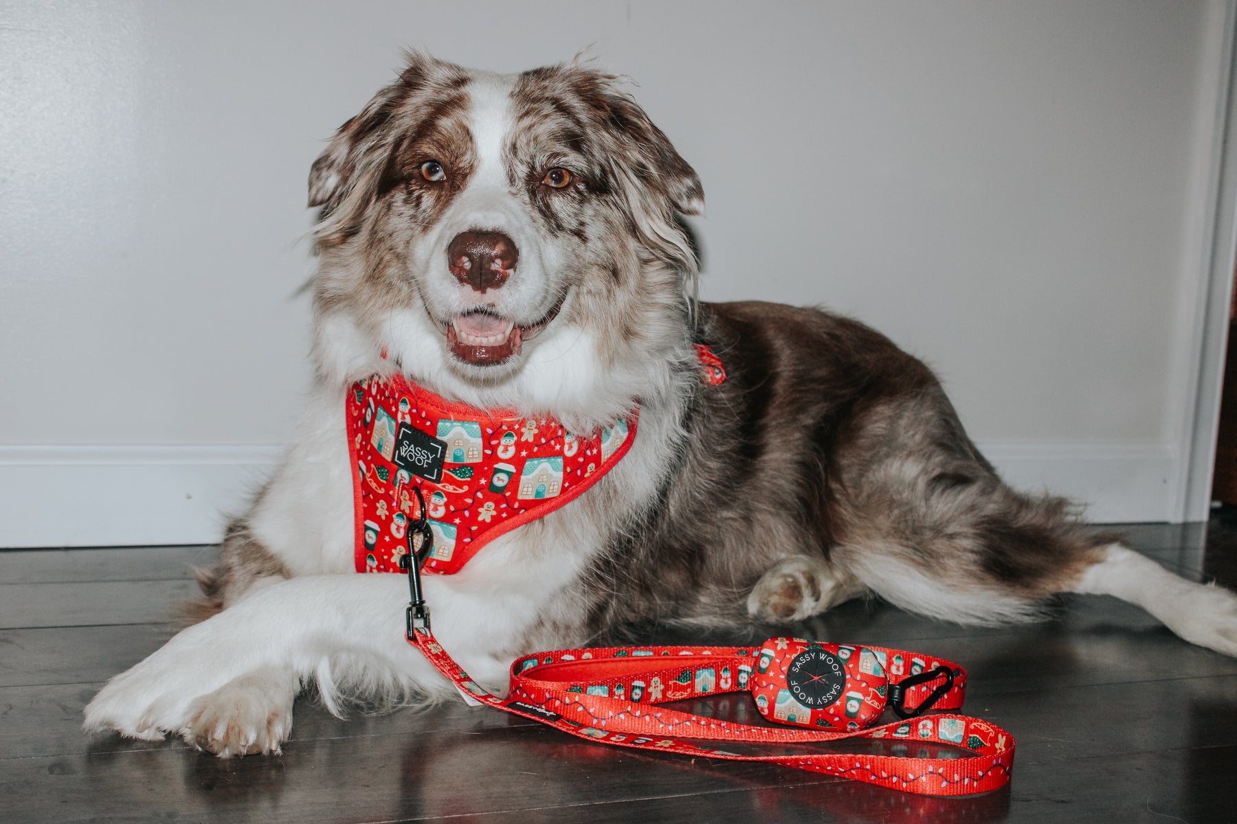 INFLUENCER_CONTENT | @MILATHEAUSSIEDOG | SIZE XL