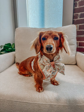 INFLUENCER_CONTENT | @MINIDOXFLAN | SIZE XS